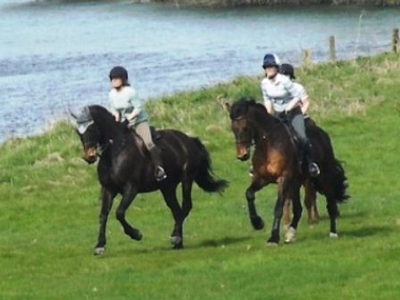 Own Horse Holiday in Shropshire